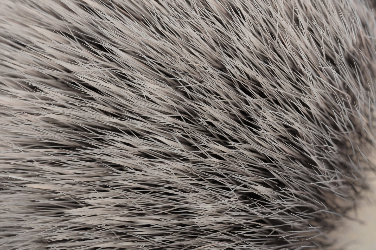 G5 Synthetic hair knot